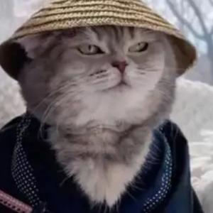 猫猫看视频 头像