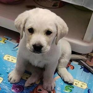 八分钟电影 头像