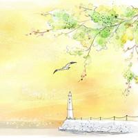 电竞百晓生小陆 头像