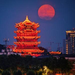 谱行天下181847238 头像