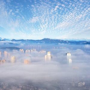 倚清风眠