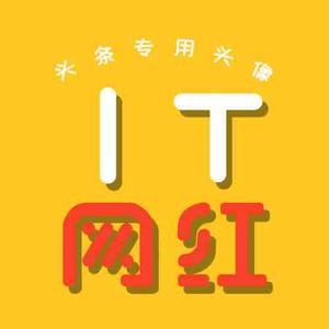 IT网红头像