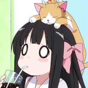 喵子爱分享 头像