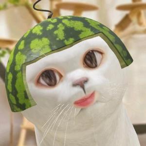 青岛吾人猫头像