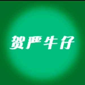 贺严牛仔头像