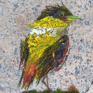 老泰有话说l 头像