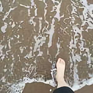 魔芋小学教育 头像