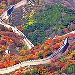 杨柳青青春之声