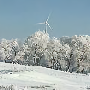 大葡萄2016 头像