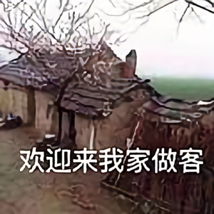 松叶寒