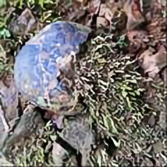 宝石猎人晓刚刚 头像