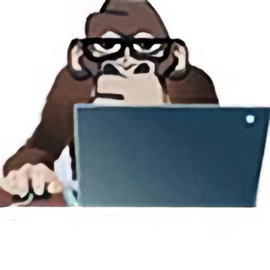 爱编程的南风 头像