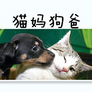 猫妈狗爸 头像