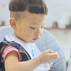 大象蚂蚁和小象们 头像