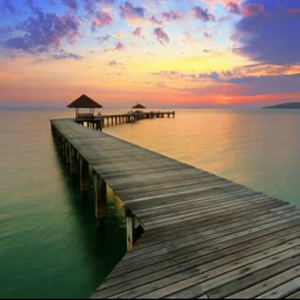 快乐的葡萄EQ 头像