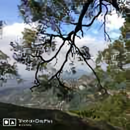 沧缘 头像