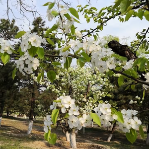 用户夏天的风