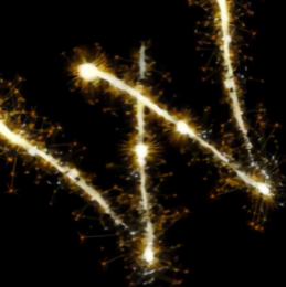 身后有微光 头像