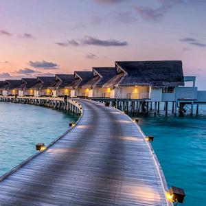 幸福瞬间0391 头像