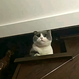 一个爱理财的自媒体人 头像