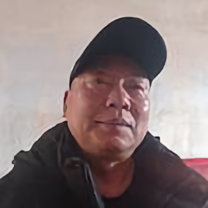 村口老槐树88