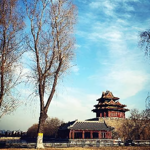 飞常完美627 头像