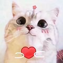 Abeja西班牙语教学 头像