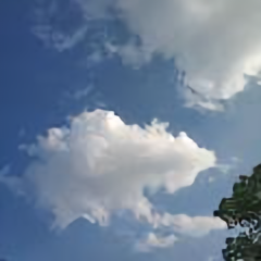 猫猫爱吃鱼99 头像