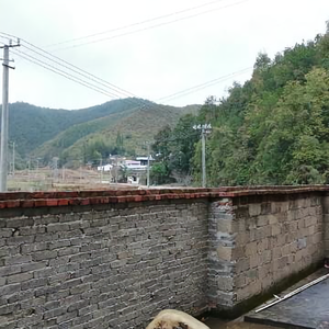 阿方的生活日常 头像