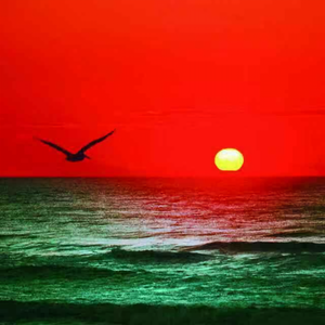 山人聊历史 头像