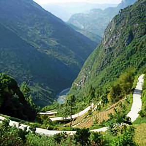 山里娃老姜 头像