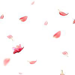 成长的速度 头像