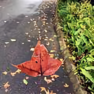 霜叶做开发 头像