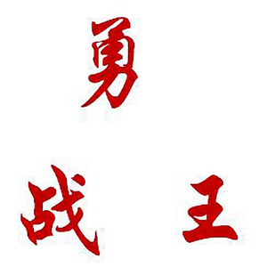 勇战王聊历史