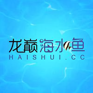 龙巅海水鱼 头像
