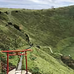 老運転手666 头像