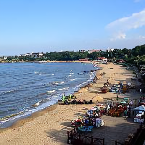 北戴河鼎诚 头像