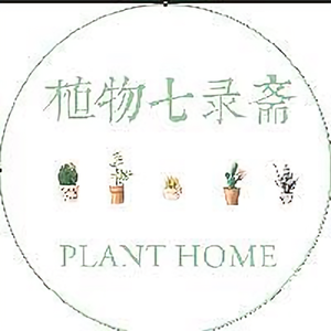 植物七录斋 头像