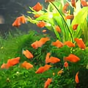 阳90