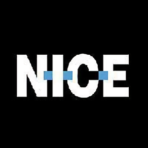 Nice耐撕 头像