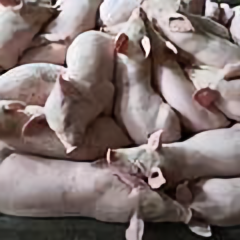 养殖户二哥 头像