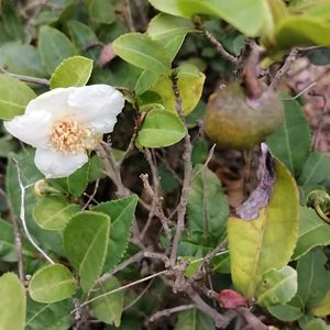 展现美好生活 头像