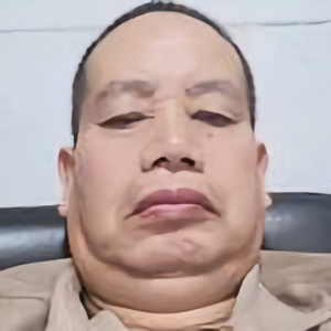 清莲山人