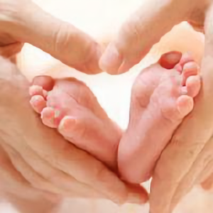 宝妈育儿知识库 头像