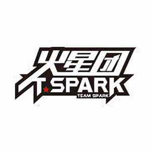 TEAMSPARK火星团头像