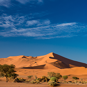 小音乐青年 头像