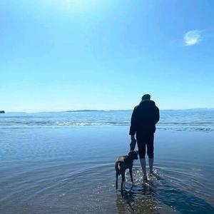 钢蛋的体育生活 头像