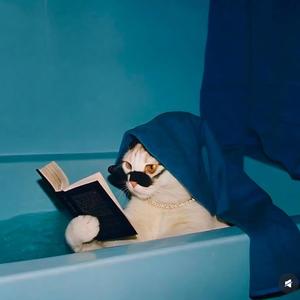 三甲王医生生活日记 头像