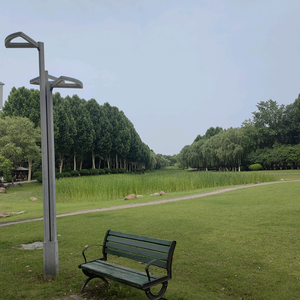 老陶（中午11：20） 头像