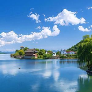 太极爱好者9y3k 头像